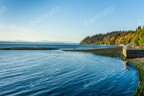 Preview: A Landscape Shot Of The Seawall And Sutumn Trees In Des Moines, Washington.