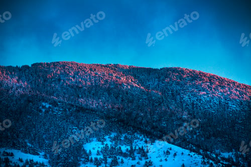 Preview: Snowy Mountain Forest Lit by Golden Morning Light