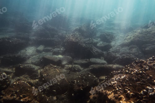 Preview: Underwater Seascape whit sunbeam coming Through the Water.Background Concept