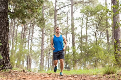 Preview: Male runner in blue sportswear jogging along dirt trail through dense pine forest under sunlight
