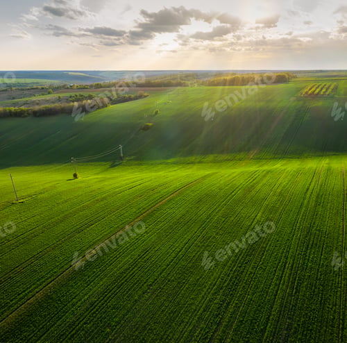 Preview: Top view of a spring field