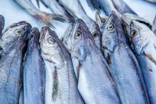 Preview: Fresh fish