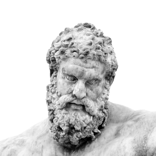 Preview: Head of the Farnese Hercules ancient Roman sculpture