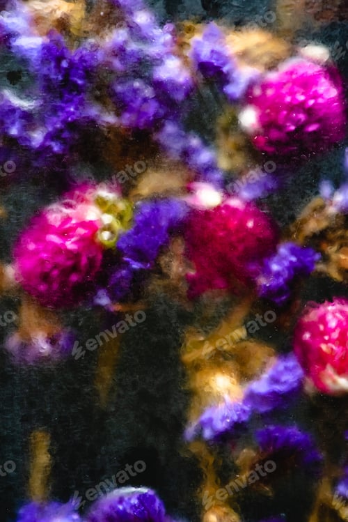 Preview: close-up view of beautiful small wet blue and pink flowers