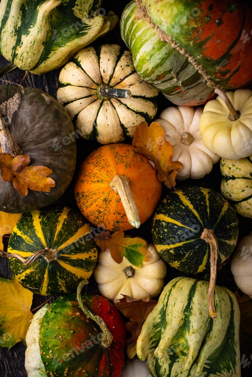 Preview: Autumn fall background with pumpkins