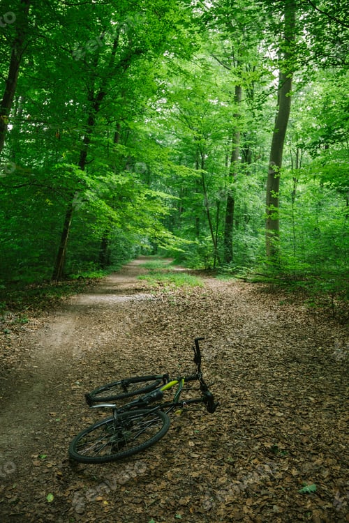 Preview: bike lying on path in green beautiful forest in Wurzburg, Germany
