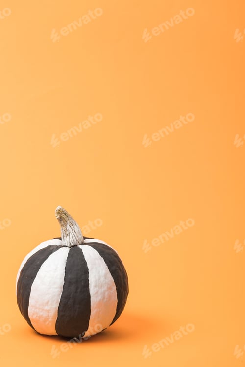 Preview: striped painted black and white pumpkin on orange colorful background