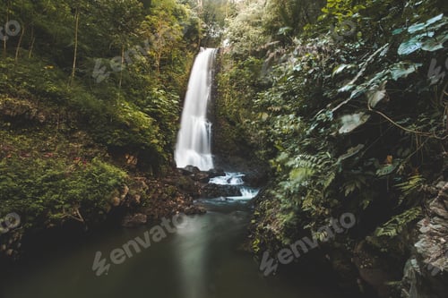 Preview: Waterfall in the jungle. Green landscape. Bali