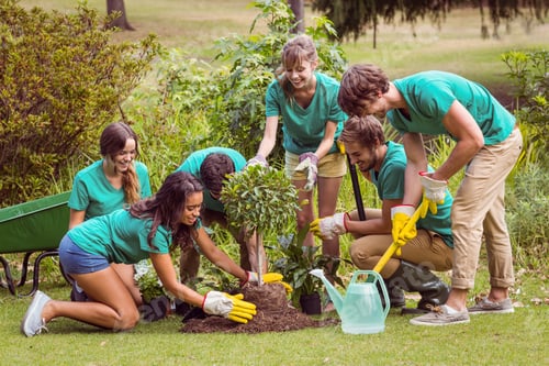 Preview: Happy Friends Gardening For The Community On A Sunny Day