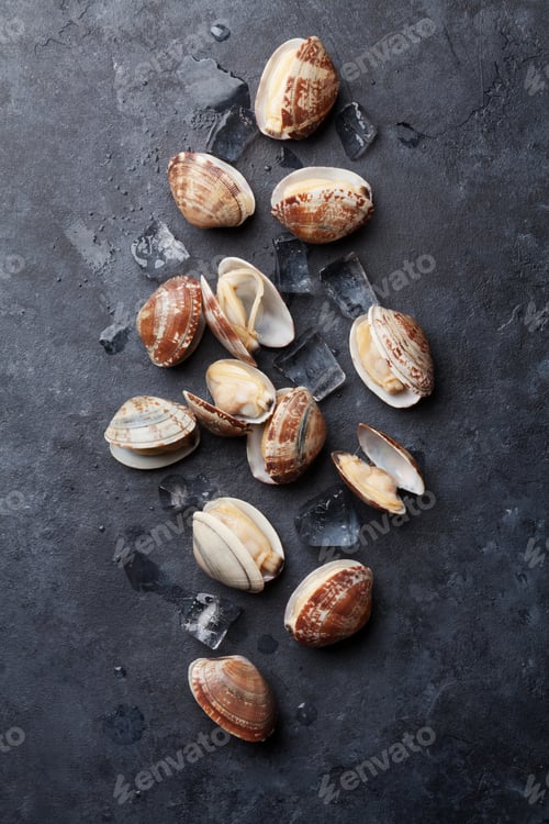 Preview: Fresh seafood. Scallops