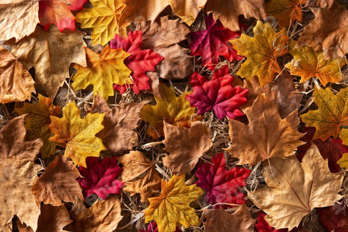 Preview: Autumn leaves background