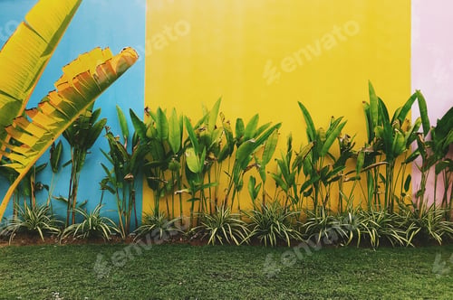 Preview: tropical background