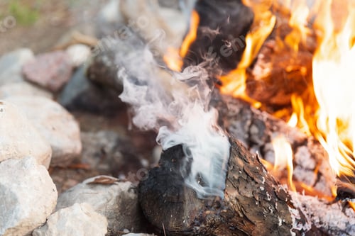 Preview: Bonfire On A Backyard
