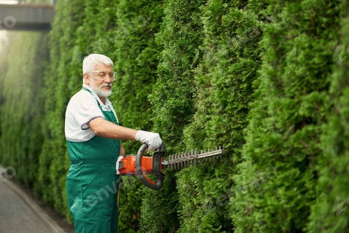 Preview: Man wearing ear and face protection cutting hedge