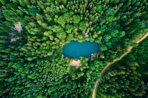 Preview: Aerial view of blue colored forest lake in Poland