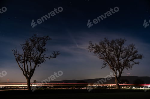 Preview: Silhouetted Trees at Night with City Lights