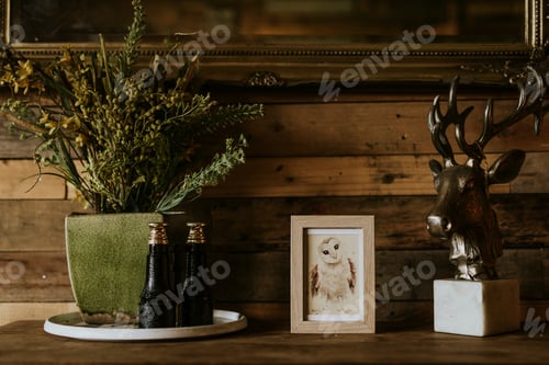 Preview: Aesthetic houseplant, framed owl picture home decor