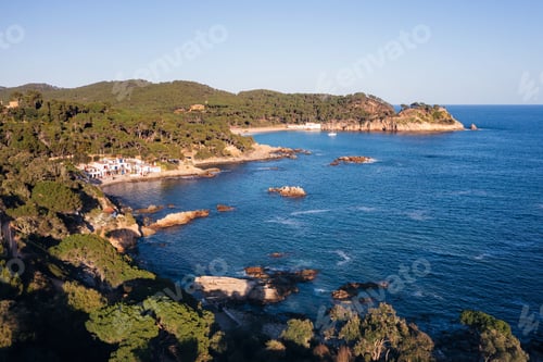 Preview: coastline with pine forests reaching to the sea