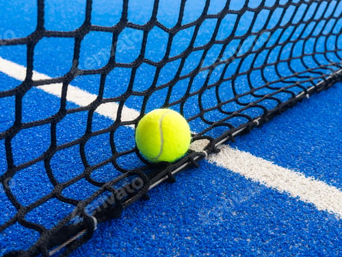 Preview: paddle tennis ball next to the net of a paddle tennis court.
