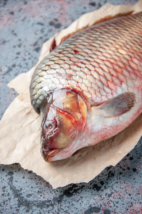 Preview: front view fresh raw fish on the blue background meal meat water food ocean color horizontal animal