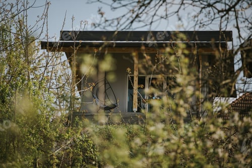 Preview: Modern house in the woods with an egg chair on the porch and wild trees surrounding it