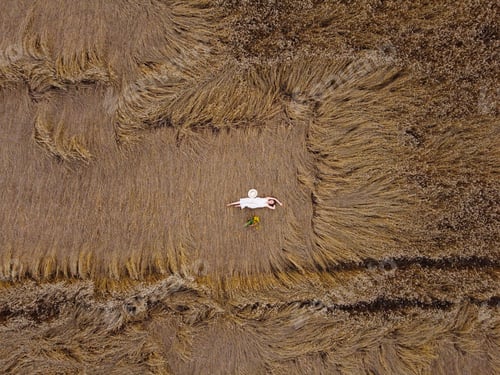 Preview: Aerial view of a pretty young woman enjoying the outdoors. girl wearing a white dress lying in whea