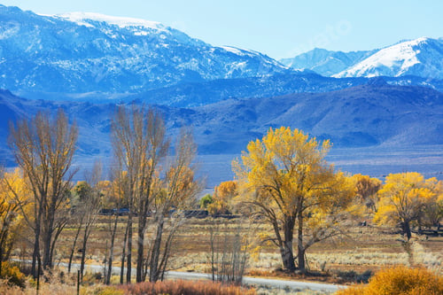 Preview: Autumn in Sierra Nevada
