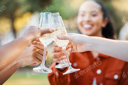 Preview: We werent sisters by birth but by choice. Shot of friends toasting in a park.