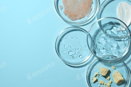 Preview: Many petri dishes with samples on light blue background, flat lay. Space for text