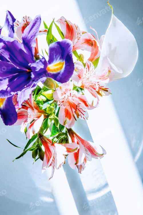 Preview: top view of a bouquet of pink color alstroemeria flowers with dark purple iris