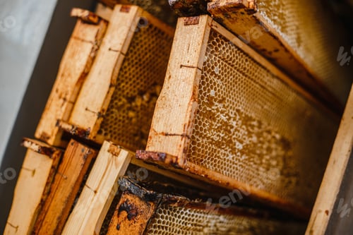 Preview: Closeup shot of many freshly made honeycombs