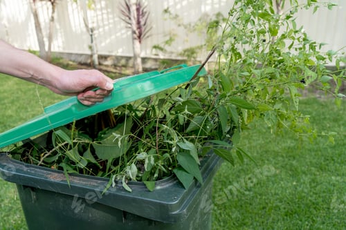 Preview: Hand closing a green rubbish garbage bin with Green garden waste. Recycling household waste