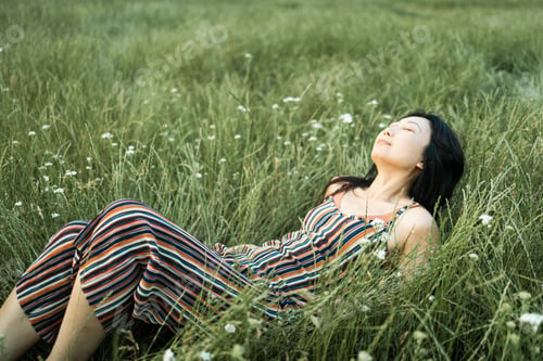 Preview: Beauty Romantic Asian Girl Portrait. Sensual Woman Lying on a Meadow with wild Flowers. Beautiful Wo