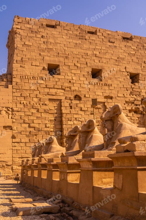 Preview: Rams at the entrance to the Temple of Karnak, the great sanctuary of Amun. Egypt
