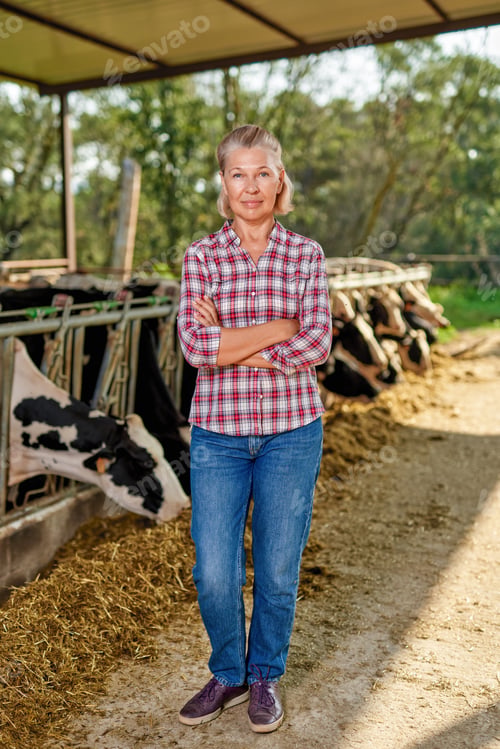 Preview: Farmer Woman Is Working On Farm With Dairy Cows.