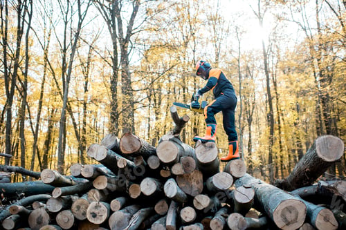 Preview: Professional lumberjack in the forest