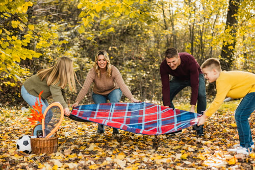 Preview: Family Having Picnic In Park