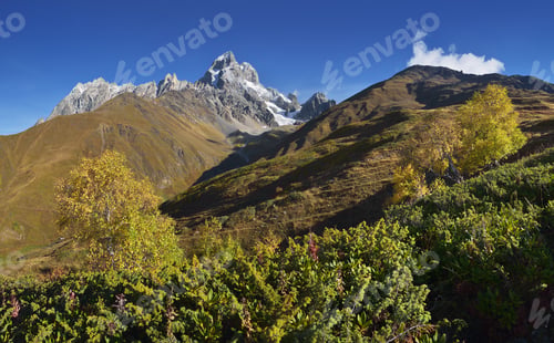 Preview: Autumn landscape in the mountains