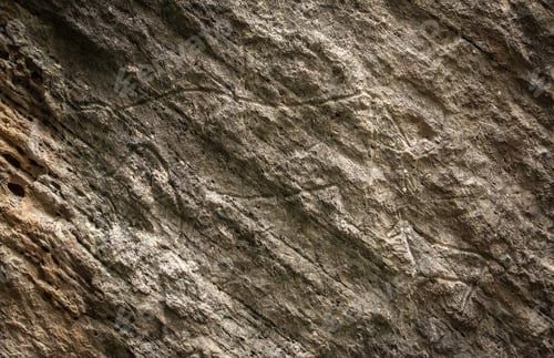 Preview: Fragment of petroglyph in Gobustan,