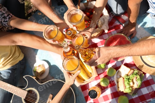 Preview: Young people enjoying picnic in park on summer day, top view