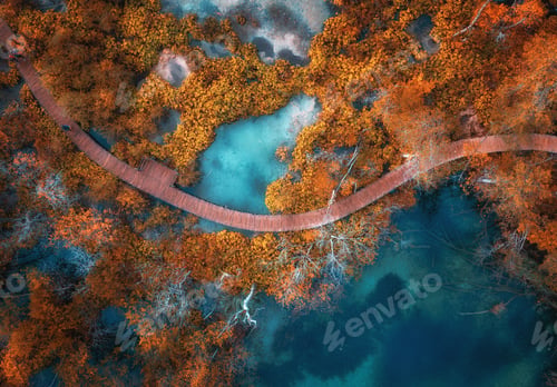 Preview: Aerial view of blue lakes in red autumn forest at sunrise