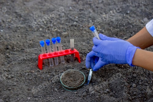 Preview: A scientist takes soil into a test tube for analysis. Selective focus.