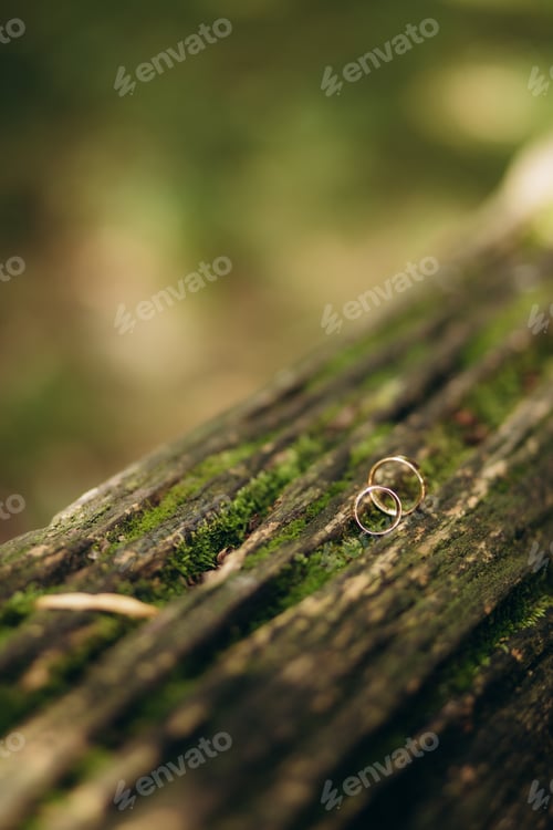 Preview: wedding ring tree nature background