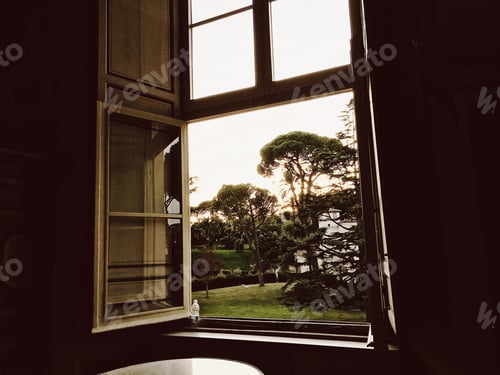 Preview: view from window