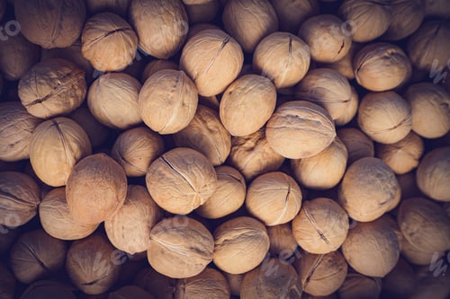 Preview: Natural walnut background pattern texture