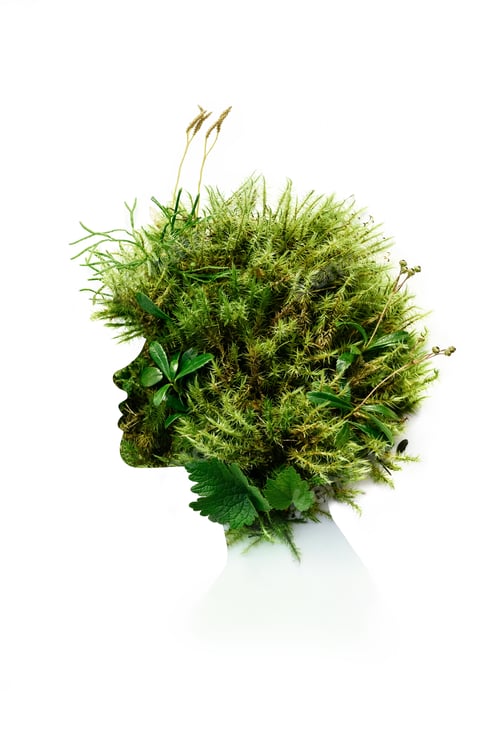 Preview: Double exposure Female profile of girl made from natural forest plants and moss