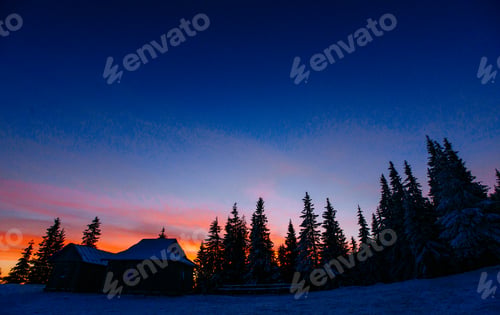 Preview: winter landscape trees in frost