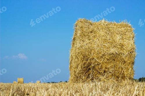 Preview: Rolls of haystacks on the field. Summer farm scenery with haystack on the Background
