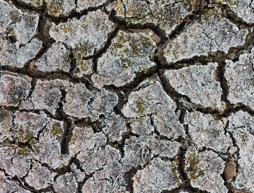 Preview: The arid climate and dry mud