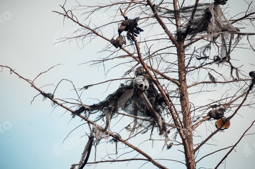 Preview: Halloween ghosts decoration hanging with spiders on dry tree branches against blue sky